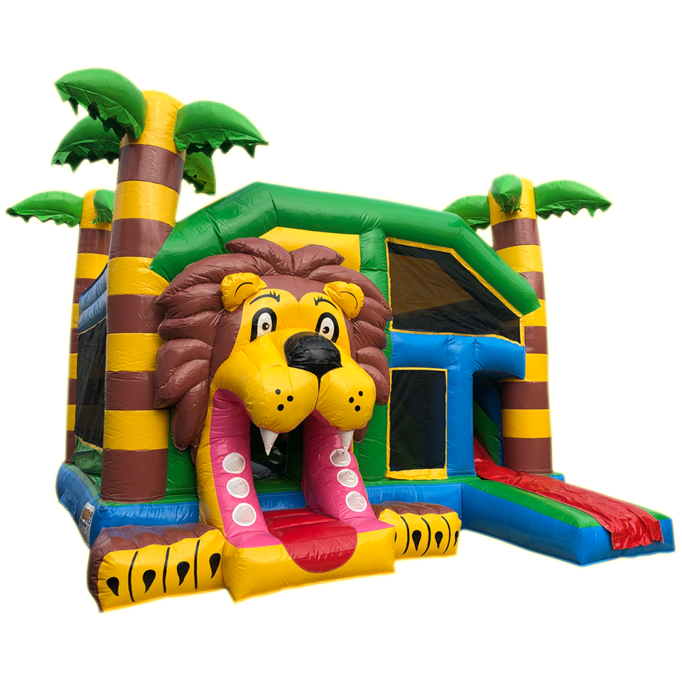 Multiplay Maxi Lion