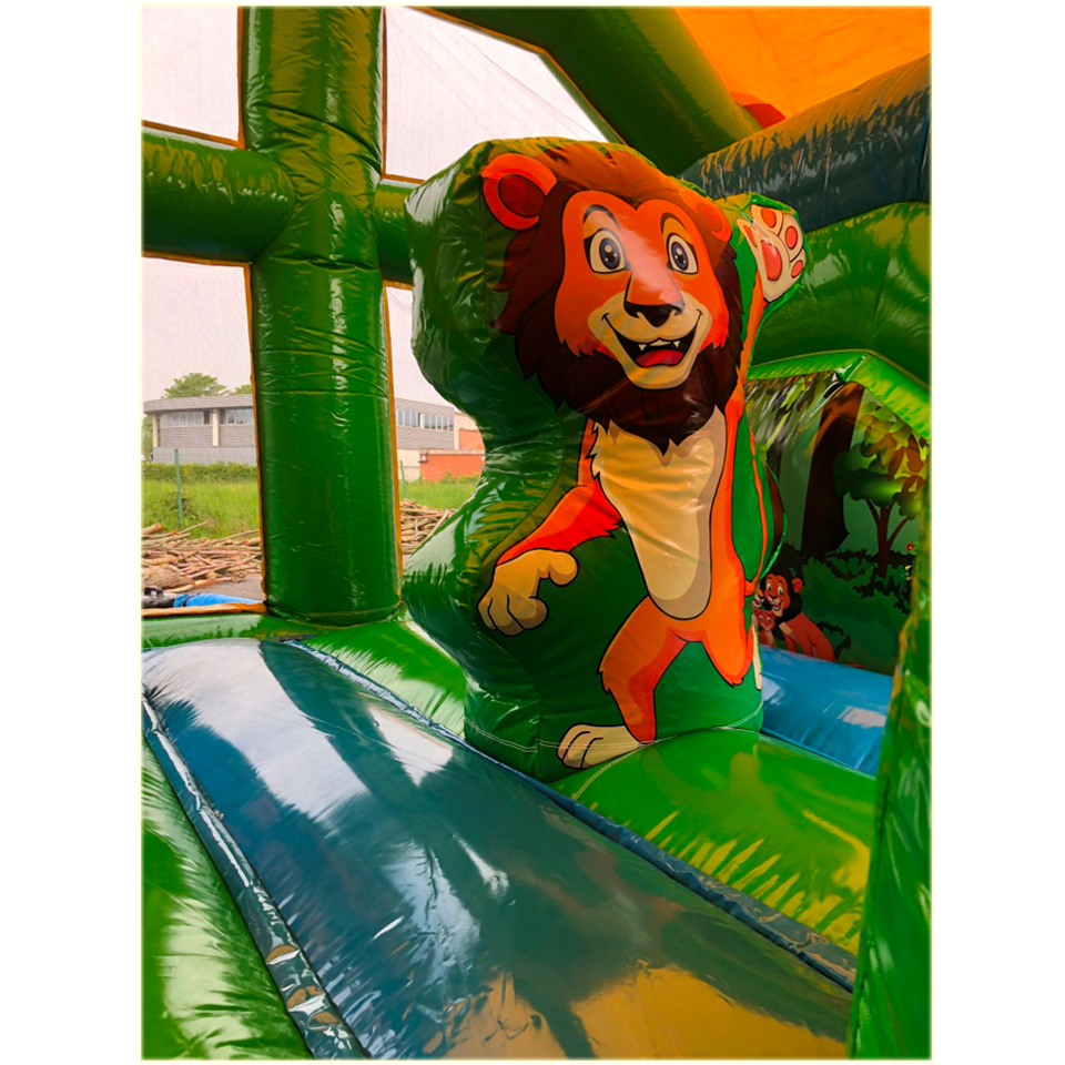 Multiplay Maxi Lion