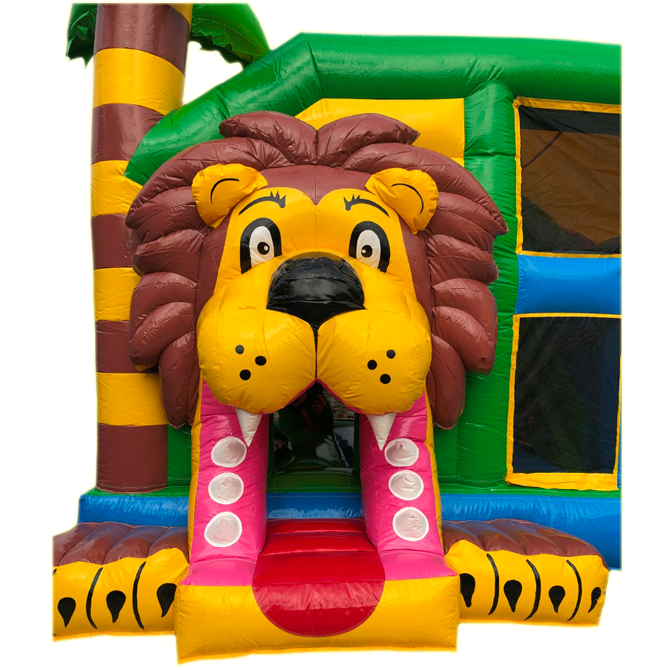 Multiplay Maxi Lion