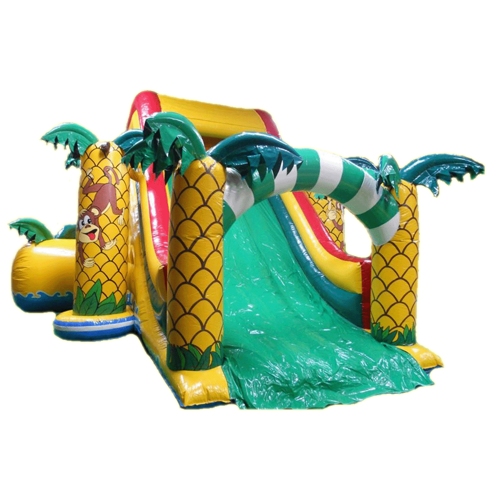 Tropicana Toboggan Structure Gonflable